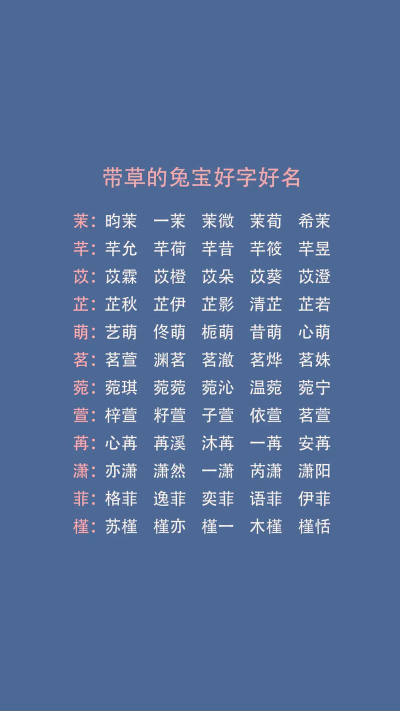 宝宝起名字兔宝宝_宝宝起名字兔宝宝好吗